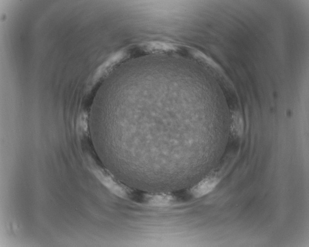 X0000066520621200603201325