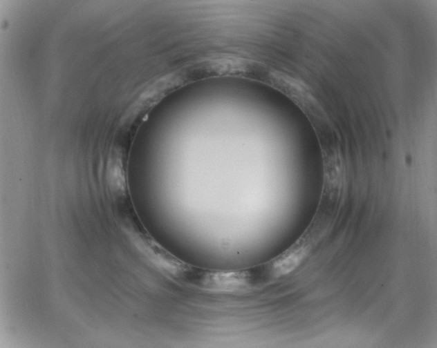 X0000066520622200603201325