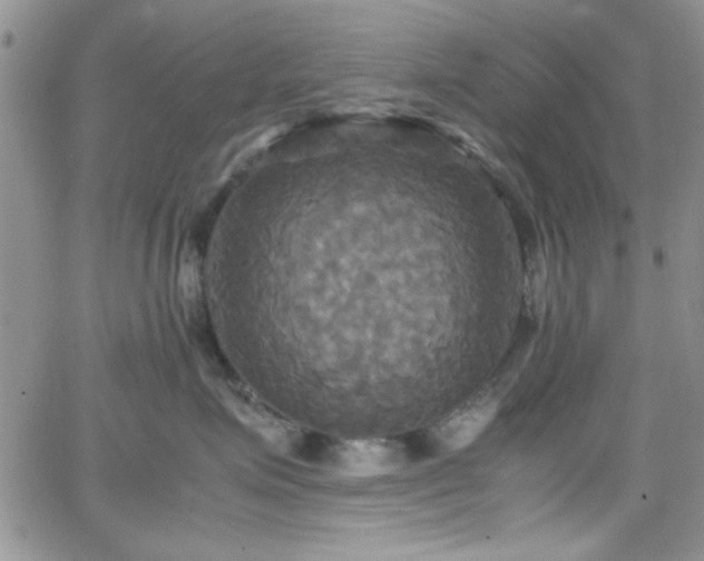 X0000066520623200603201325