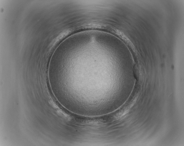 X0000066520625200603201324