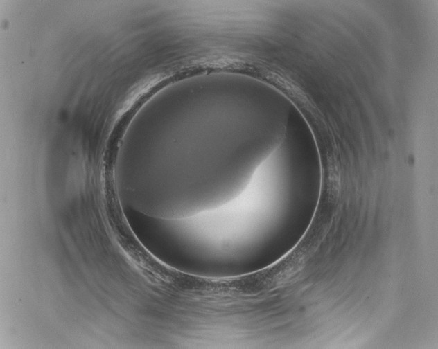 X0000066520626200603201324