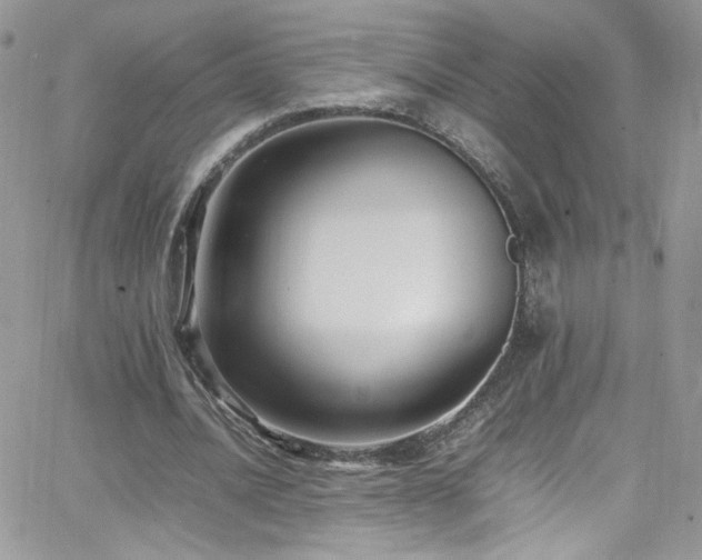 X0000066520628200603201324