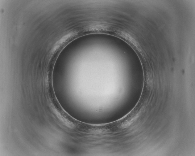 X0000066520629200603201324