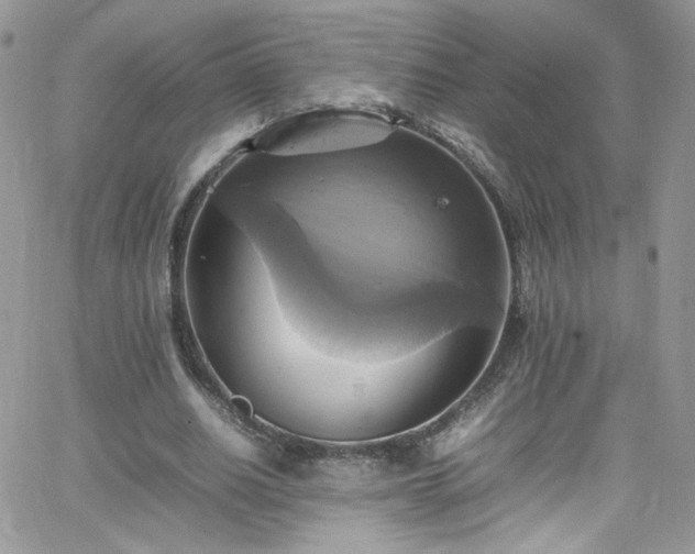 X0000066520630200603201324