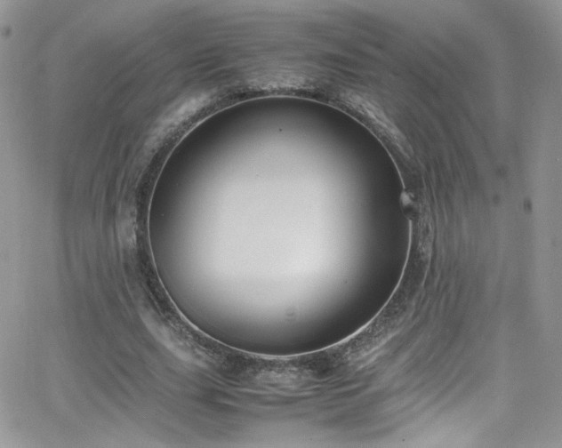 X0000066520631200603201324