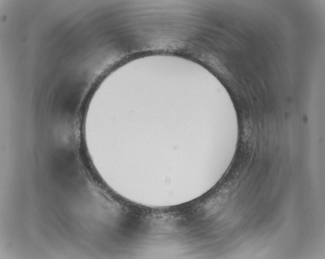 X0000066520632200603201324