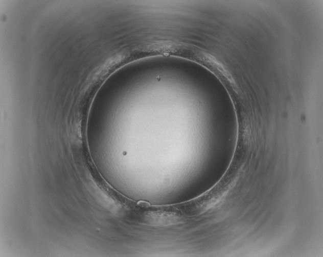 X0000066520633200603201324