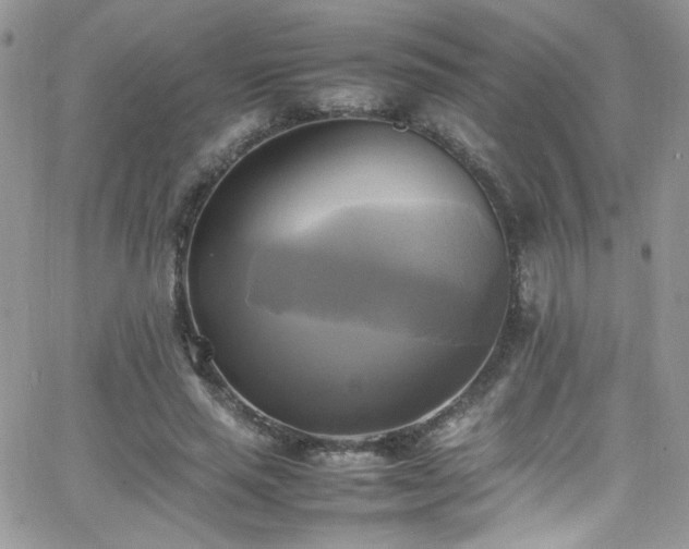 X0000066520637200603201324