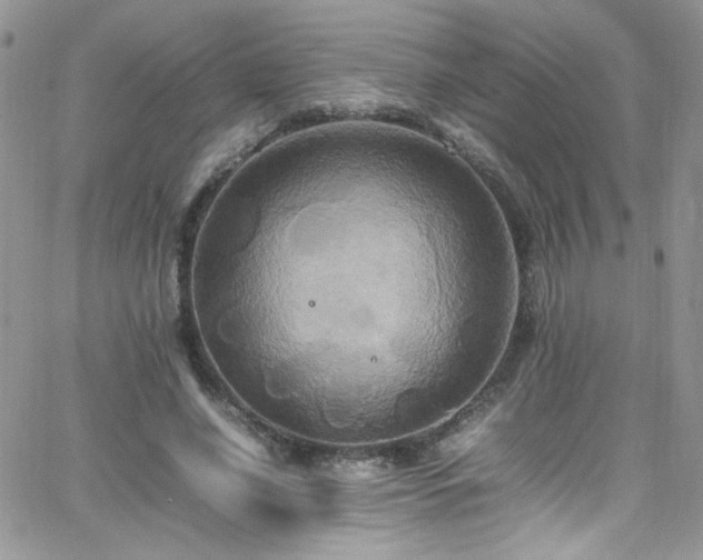 X0000066520638200603201324