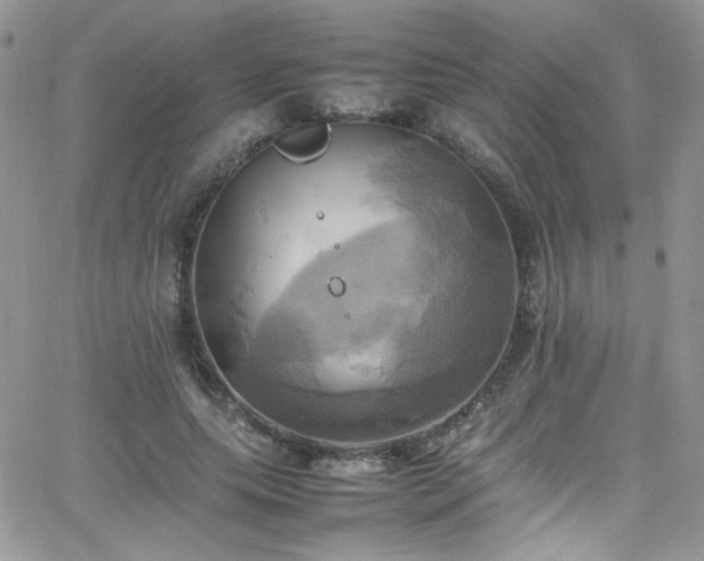 X0000066520639200603201324