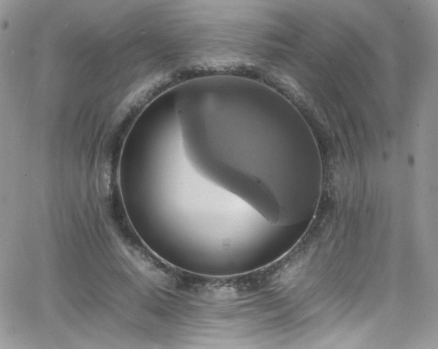 X0000066520640200603201324