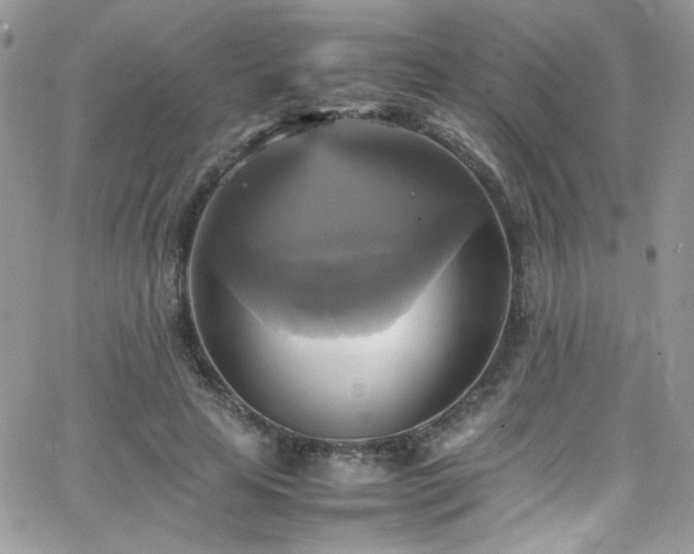 X0000066520641200603201324