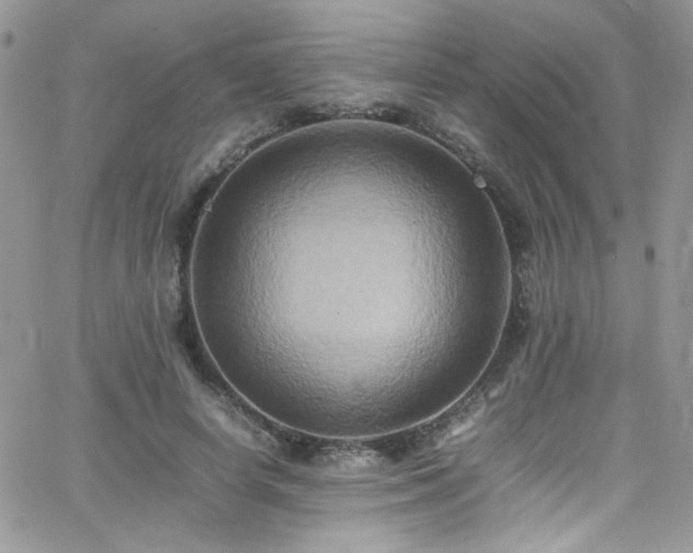 X0000066520642200603201324