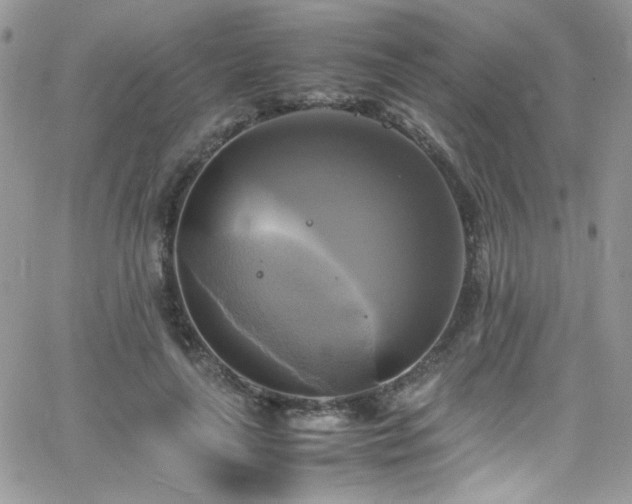 X0000066520643200603201324