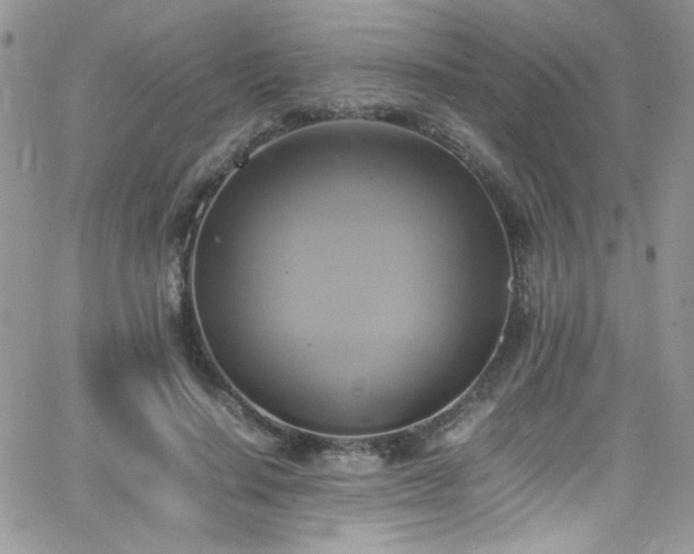 X0000066520644200603201324