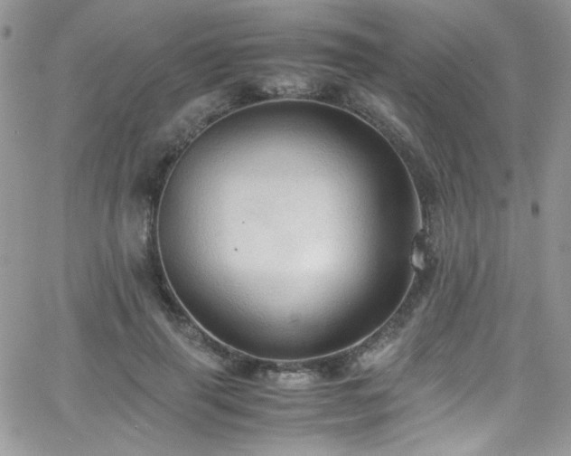 X0000066520645200603201324