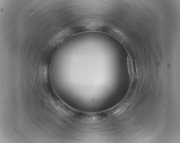 X0000066520646200603201324