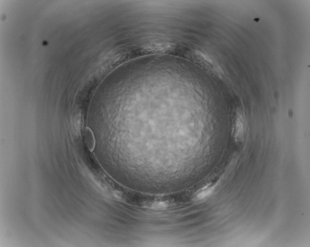 X0000066520647200603201325