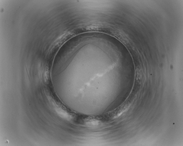 X0000066520648200603201325