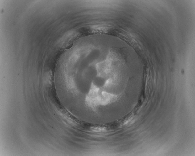 X0000066520649200603201325