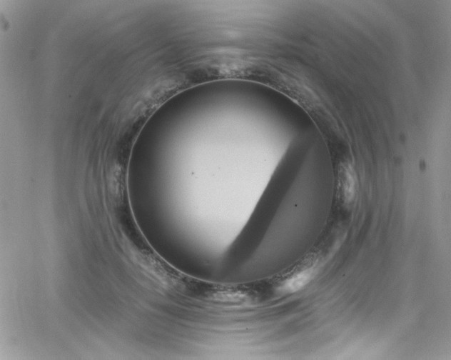 X0000066520650200603201325