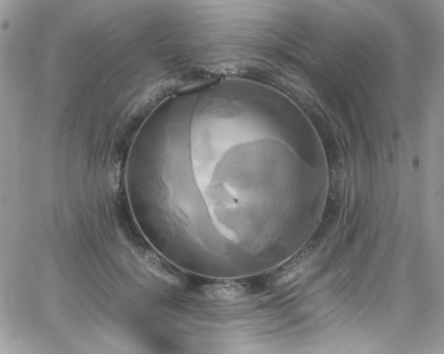 X0000066520652200603201325