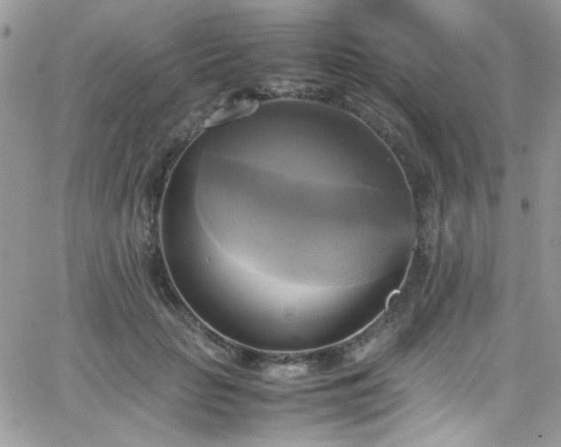 X0000066520653200603201325