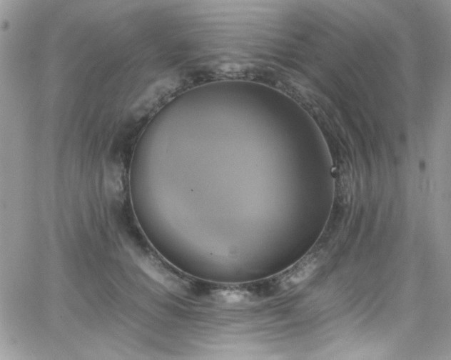 X0000066520654200603201325