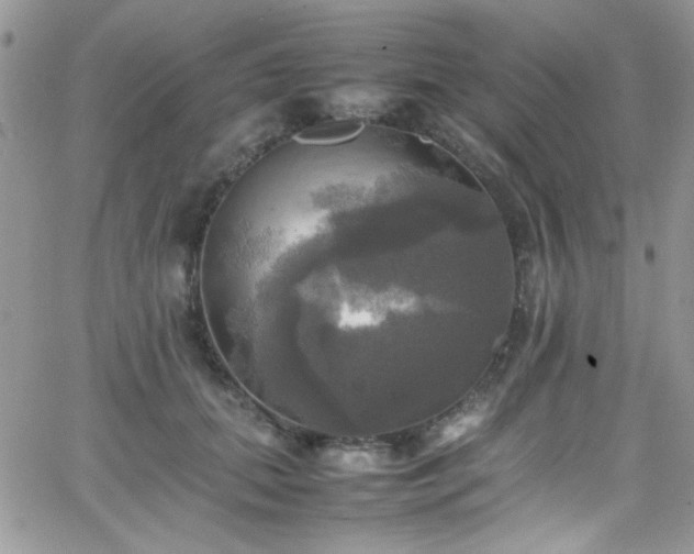 X0000066520655200603201325