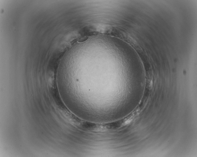 X0000066520656200603201325