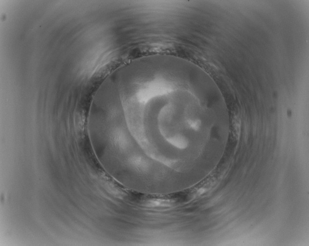 X0000066520657200603201325