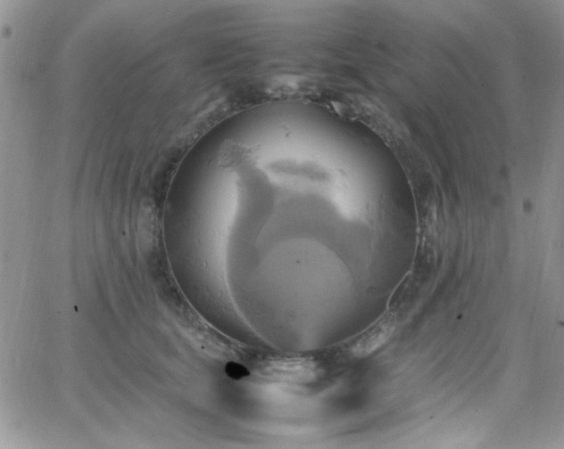 X0000066520659200603201325