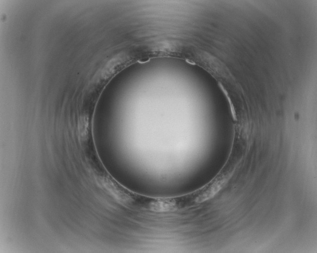 X0000066520660200603201325