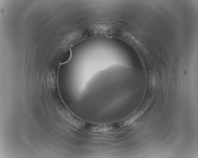 X0000066520661200603201325