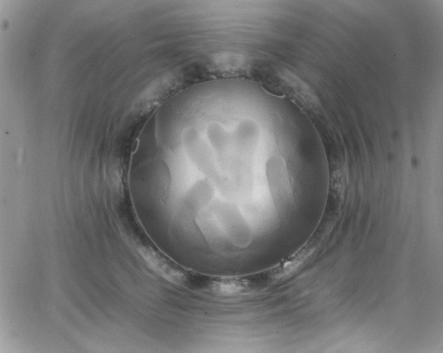 X0000066520662200603201325