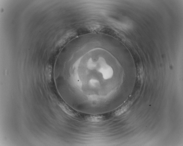 X0000066520664200603201325