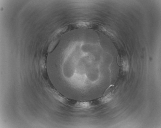 X0000066520665200603201325