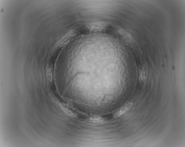 X0000066520666200603201325