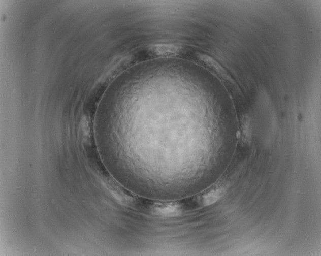 X0000066520667200603201325