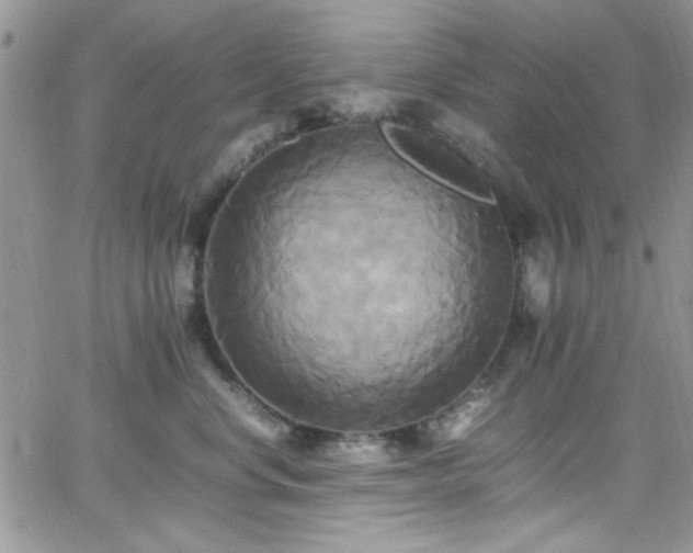 X0000066520668200603201325