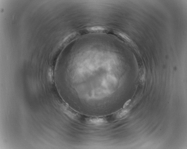 X0000066520669200603201325