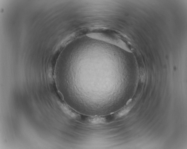 X0000066520670200603201325