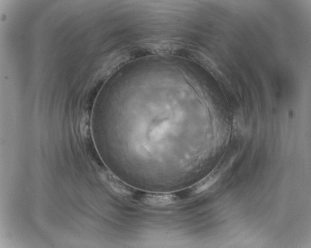 X0000066520671200603201325