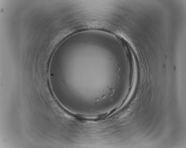 X0000066520673200603201324