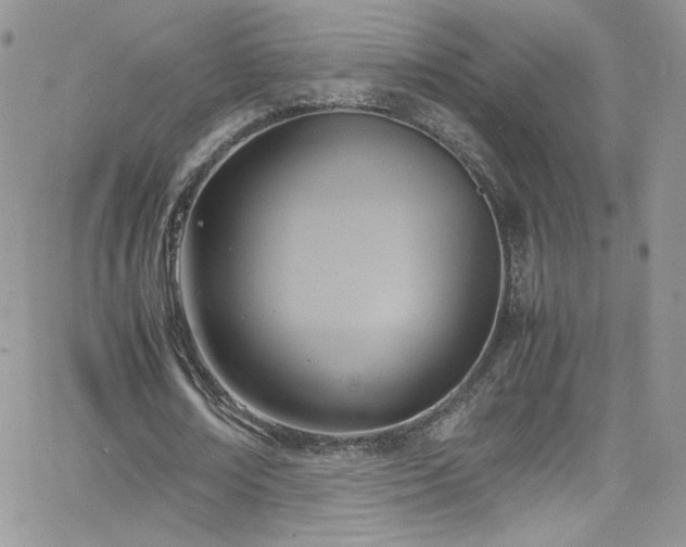 X0000066520674200603201324