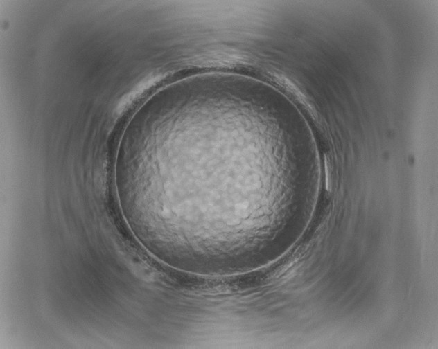 X0000066520675200603201324