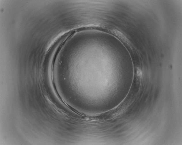 X0000066520676200603201324