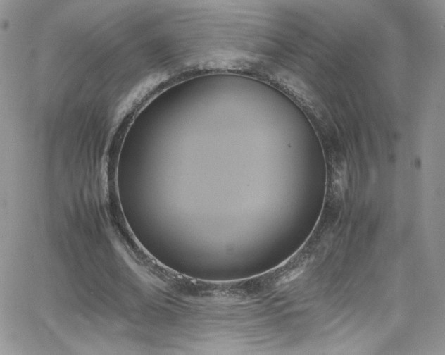 X0000066520678200603201324