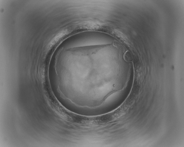 X0000066520679200603201324