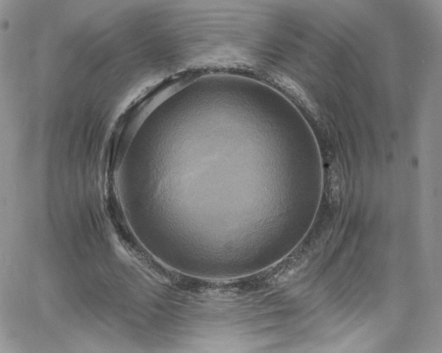 X0000066520680200603201324